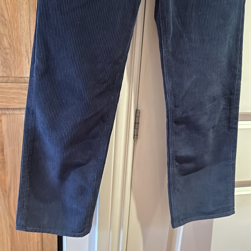 DENIM FORUM ARITZIA the Joni high rise loose 29L blue corduroy - Picture 5 of 14